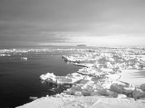 Photo of sea ice