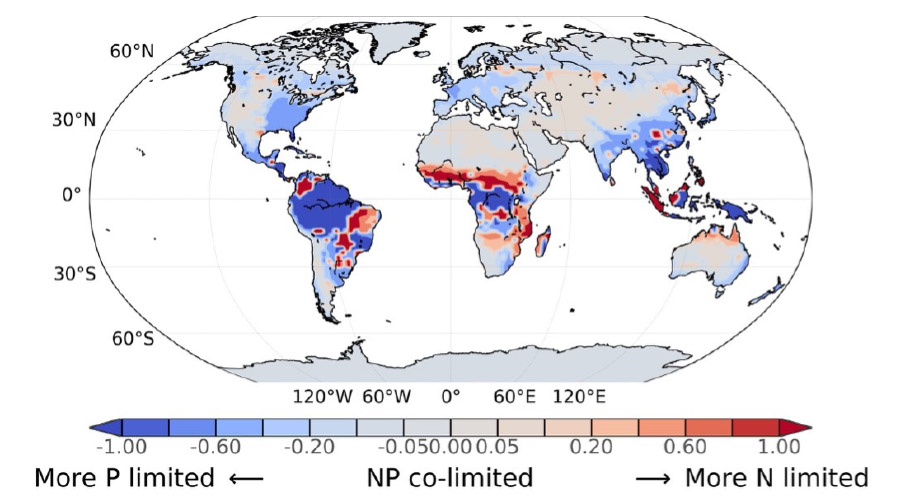 This global map shows predicted NP limitation for the period 1994–2005. 