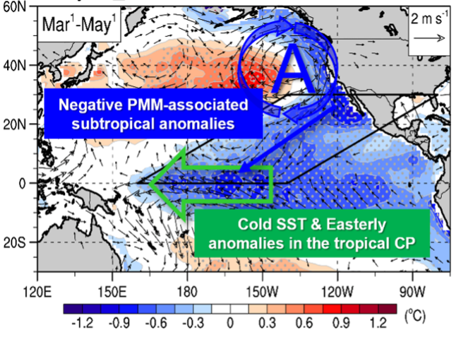 Anomalous sea surface temperature (SST; shading, in °C) and surface wind (arrows) during springtime before multi-year La Niña events. The black parallelogram reaching from Florida to nearby Papua New Guinea delineates the region where cooler temperatures influence La Niña events.