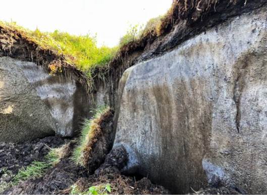 Photo of an exposed permafrost layer in soil.