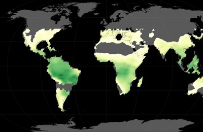 vegetationdata